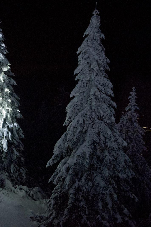 Night Snowshoeing Lapland Experience - Snowshoes, boots, and staying warm