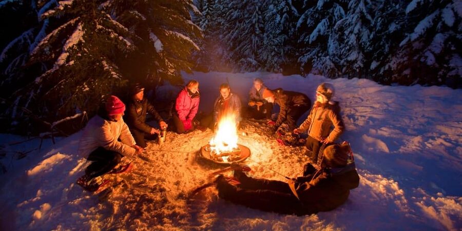 Night Snowshoeing Lapland Experience - What the three-hour outing gives you