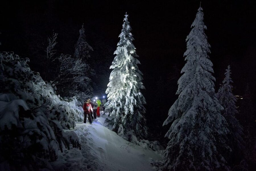 Night Snowshoeing Lapland Experience - Learning about Lapland along the trail