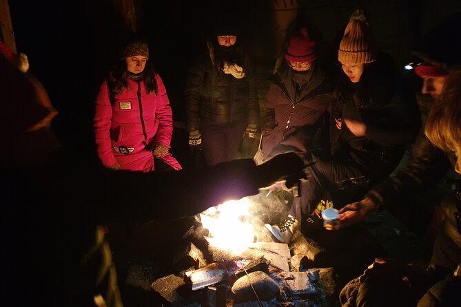 Northern Lights Auroras from Kemi-Tornio with Pickup - Why Kemi-Tornio is a practical base