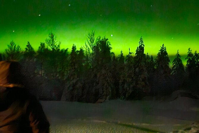 Northern Lights Auroras from Kemi-Tornio with Pickup - Cold, snow, and the real comfort level