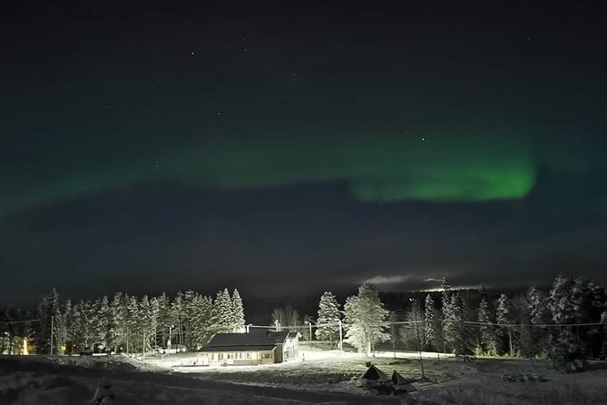 Northern Lights Auroras from Kemi-Tornio with Pickup - The odds of seeing the Northern Lights