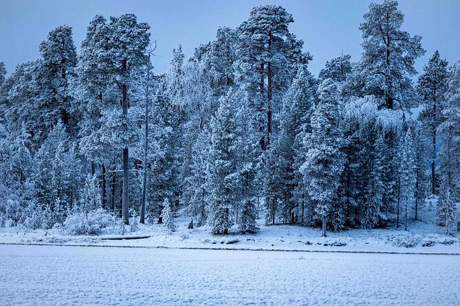 Northern Lights Holiday in Finland - The final morning and possible extra activities
