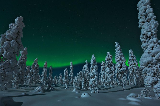 Northern Lights Hunt from Rovaniemi with Folk Tales and Snacks over Campfire - A darker sky outside the city