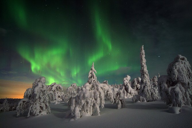 Northern Lights Hunt Including Snacks on Campfire from Levi - Sausages, marshmallows, and hot drinks by the fire