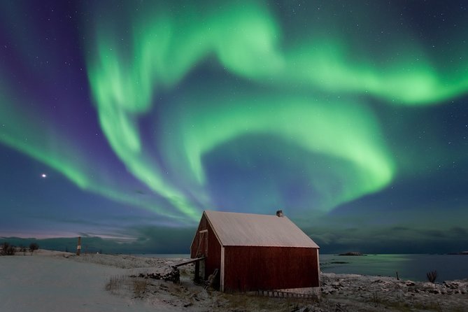 Northern Lights Hunt Including Snacks on Campfire from Rovaniemi - Who will enjoy this evening most?