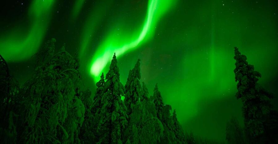 Northern Lights Hunting Adventure in Lapland - Key points before you book
