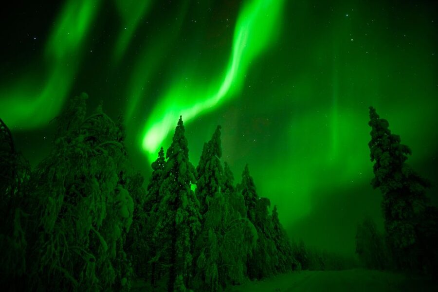 Northern Lights Hunting Adventure in Lapland - Guide Matus and the value of local judgment