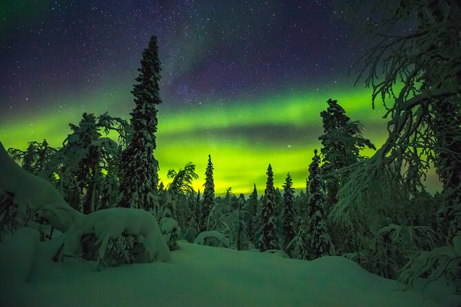 Northern Lights Hunting of Rovaniemi - Photo help makes a real difference