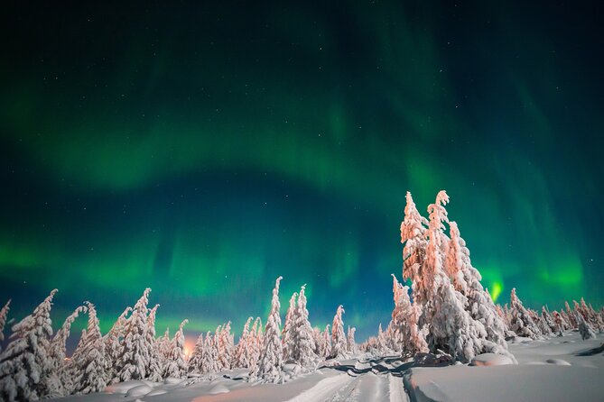 Northern Lights Hunting of Rovaniemi - What the guides add to the night