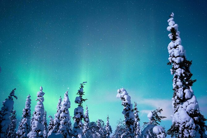 Northern Lights Hunting Photography Tour in Levi - The guides make the difference