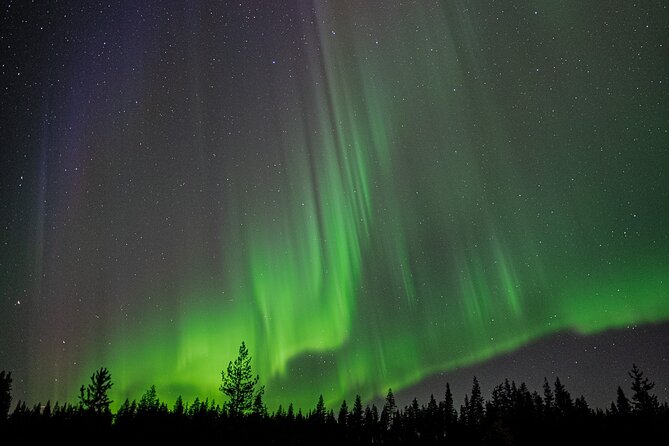 Northern Lights Hunting with a photographer (Only small groups) - Why the flexible route matters in Rovaniemi