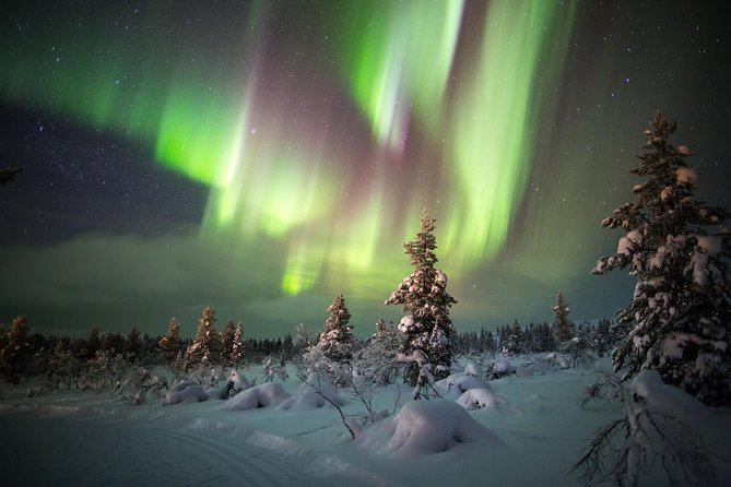 Northern Lights Hunting with Snowmobiles - What happens at the viewing stops