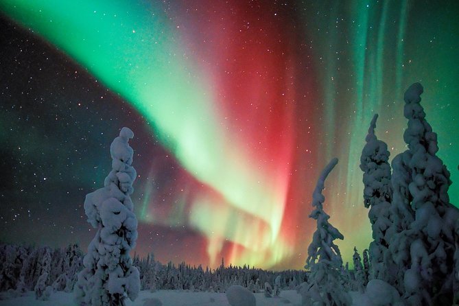 Northern Lights Photography Tour from Rovaniemi - Starting at Rovakatu 26 with borrowed winter gear