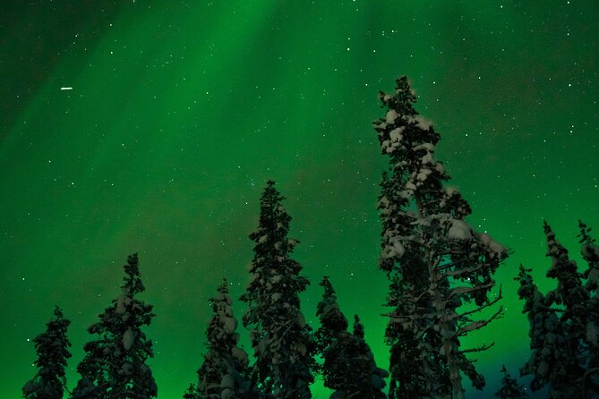 Northern lights Reindeer Sledge Ride - A quiet Arctic evening with reindeer