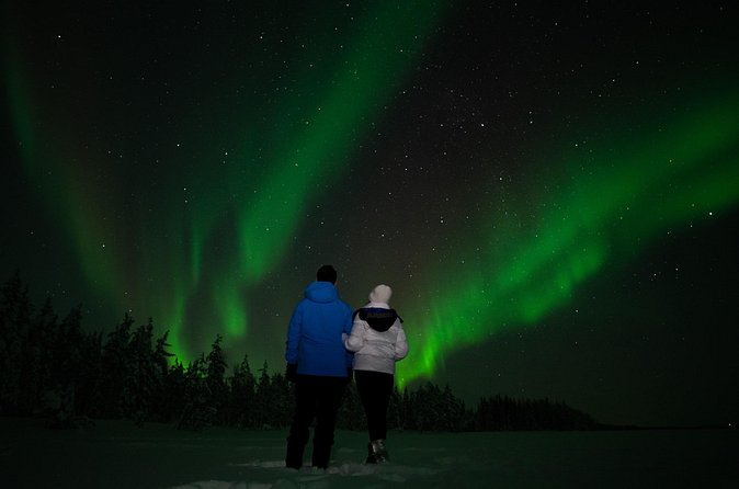 Northern lights Reindeer Sledge Ride - The Sami culture discussion gives the visit its depth