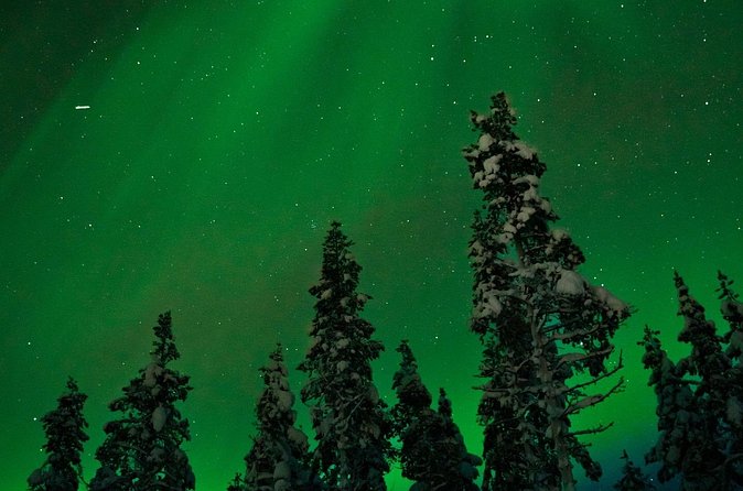 Northern lights Reindeer Sledge Ride - Is $131.87 a fair price?