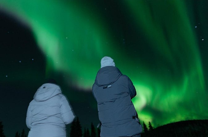 Northern Lights Rovaniemi: Guaranteed Tour with Local Guide - Transport, pickup, and group size