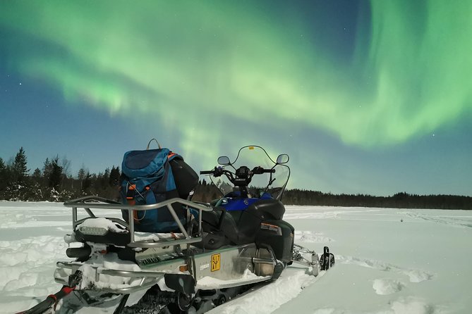 Northern Lights Sledge Ride - Riding into the Arctic night from Rovaniemi