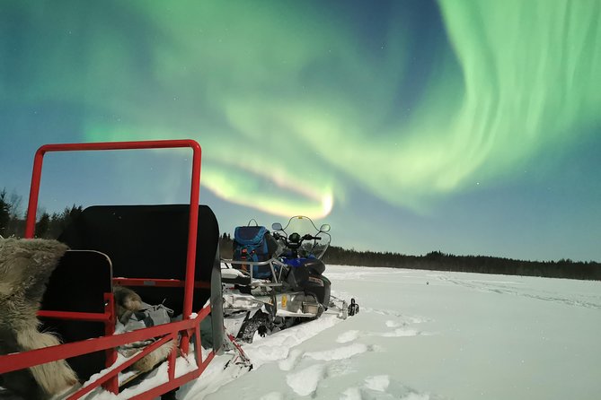 Northern Lights Sledge Ride - Searching for the Northern Lights