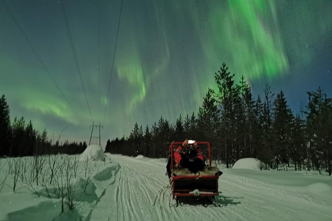 Northern Lights Sledge Ride - Stops, firelight, and the human side of the tour