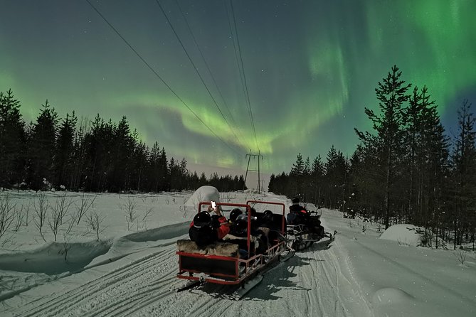 Northern Lights Sledge Ride - Transport, timing, and group size