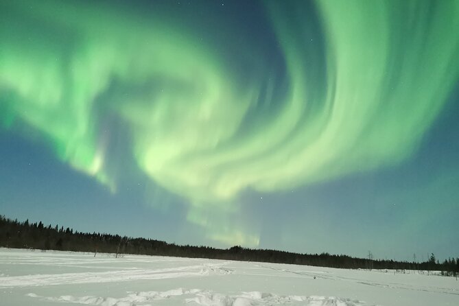 Northern Lights Sledge Ride - Is $92.52 a fair price?