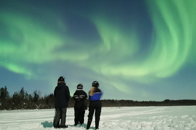 Northern Lights Sledge Ride - Who should book this Northern Lights ride?