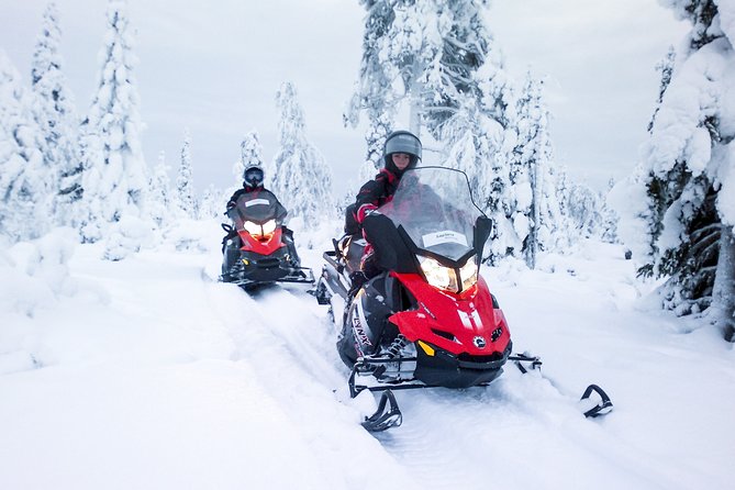 Northern Lights Snowmobile Driving Safari - Is $210.13 a fair price?