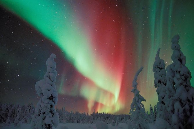 Northern Lights Snowmobile Safari from Rovaniemi with Campfire Picnic - How the guides shape the evening