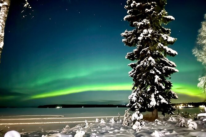 Northern Lights Tour Snowmobile Driving - What this Rovaniemi night is really like