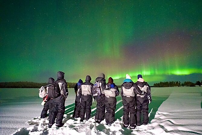 Northern Lights Tour Snowmobile Driving - Leaving central Rovaniemi at 7 pm