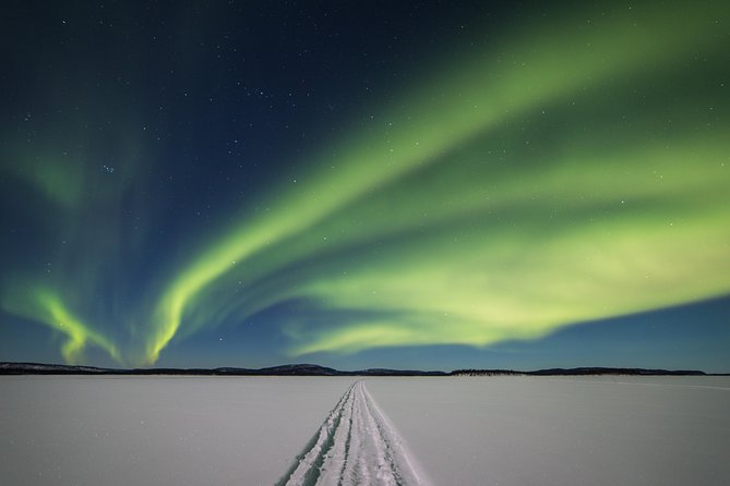 Northern lights tour to Lake Inari from Ivalo, Reindeers & Dinner - Key points to know before you book