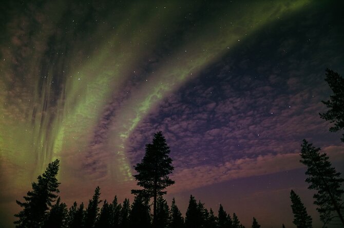 Northern Lights Tour with BBQ and drinks - The campfire gives the evening a focus