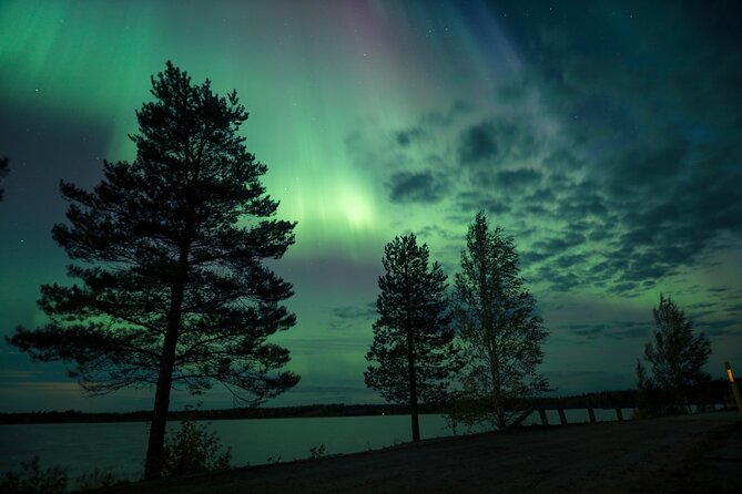 Northern Lights Tour with BBQ and drinks - Should you book the Rovaniemi Northern Lights BBQ tour?