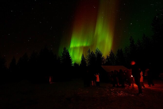 Northern Lights Trip to a Magical Place in Lapland - Is $119.09 Good Value?