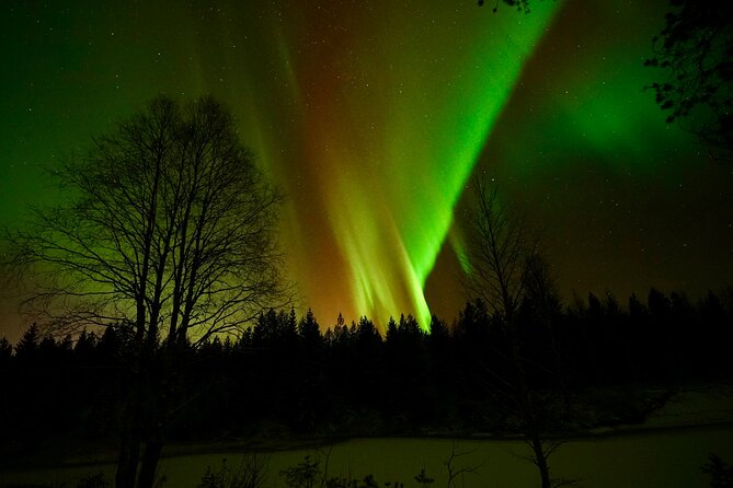 Northern Lights Trip to a Magical Place in Lapland - Who Will Enjoy This Evening Most?