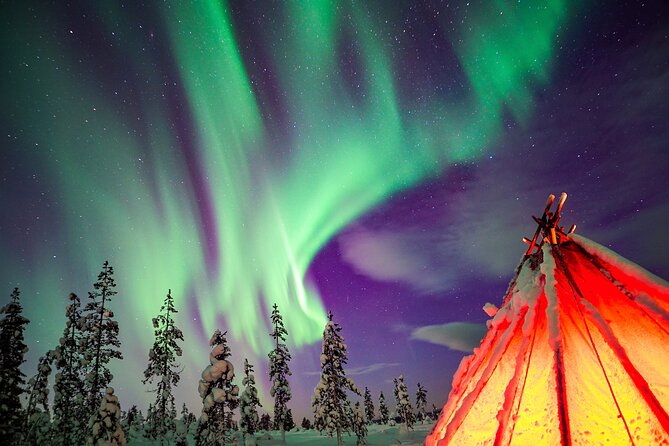 Northern Lights Wilderness Small-Group Tour from Rovaniemi - Key points to know before booking