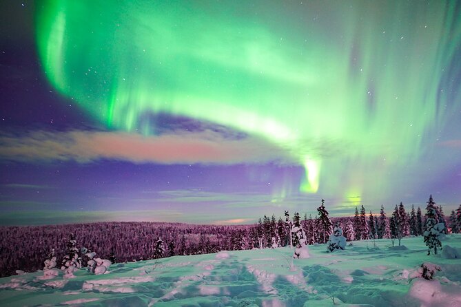 Northern Lights Wilderness Small-Group Tour from Rovaniemi - Leaving Rovaniemi for the dark