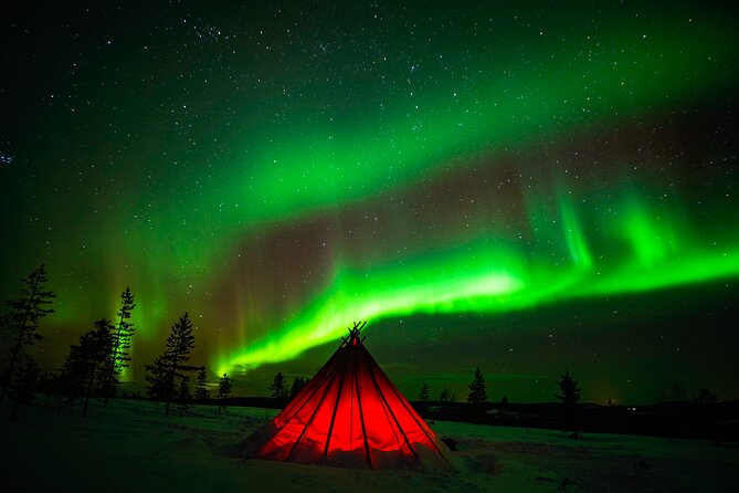 Northern Lights Wilderness Small-Group Tour from Rovaniemi - Small group comfort and the vehicle