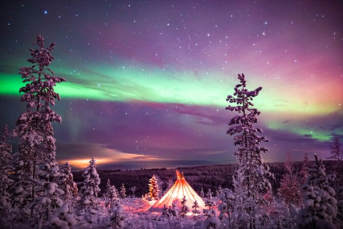 Northern Lights Wilderness Small-Group Tour from Rovaniemi - Is $155.68 a fair price?