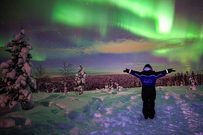 Northern Lights Wilderness Small-Group Tour from Rovaniemi - Stop one: the Lapland wilderness