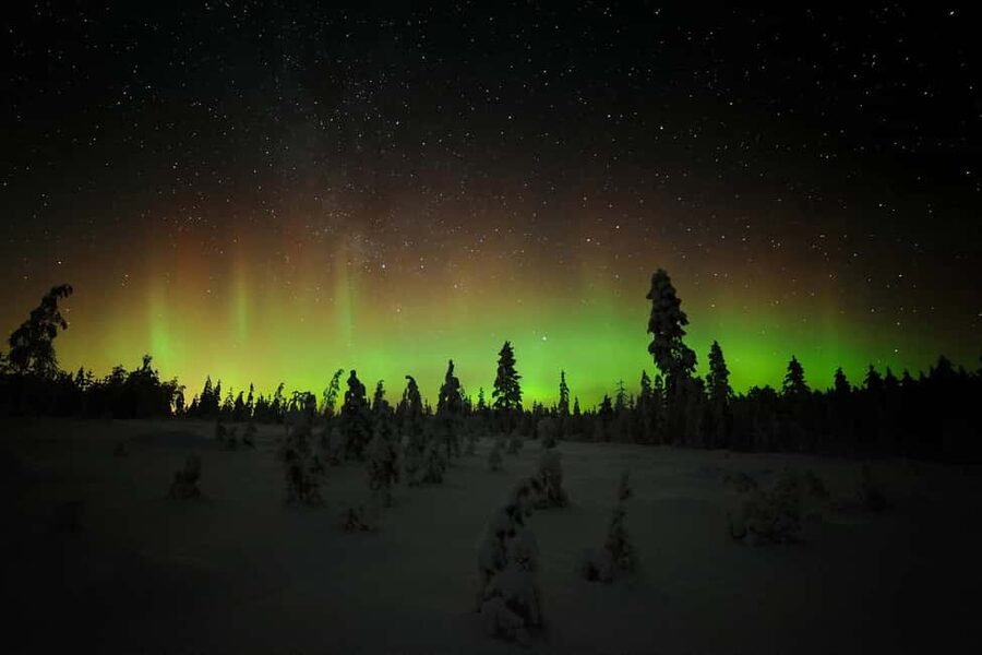 Polar Night Snowshoe Trek - Reading the snow for grouse and reindeer