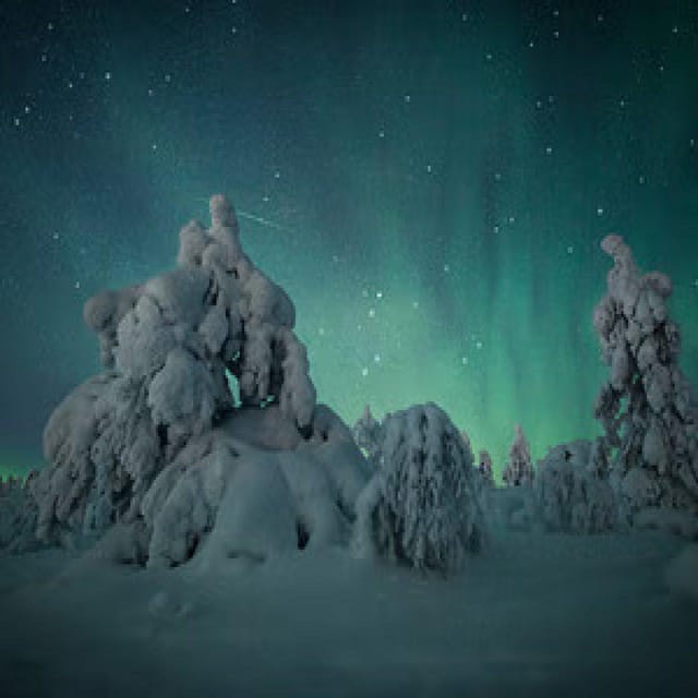 Polar Night Snowshoe Trek - Warm drinks, snacks, and the practical comfort factor