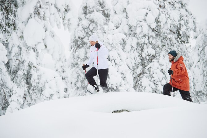 Premium Snowshoeing in Pyhä-Luosto National Park - From the PyhäExpress to the Arctic forest