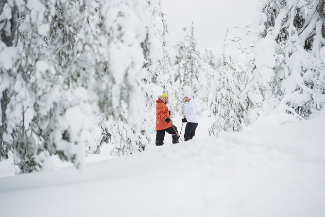 Premium Snowshoeing in Pyhä-Luosto National Park - Snowshoeing into Pyhä-Luosto National Park