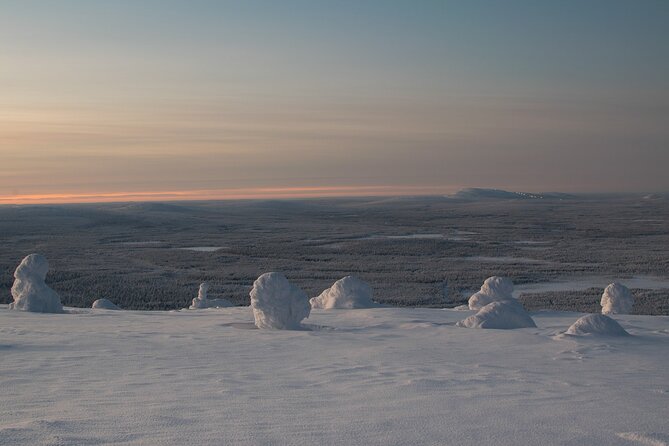 Premium Snowshoeing in Pyhä-Luosto National Park - What the small group size changes