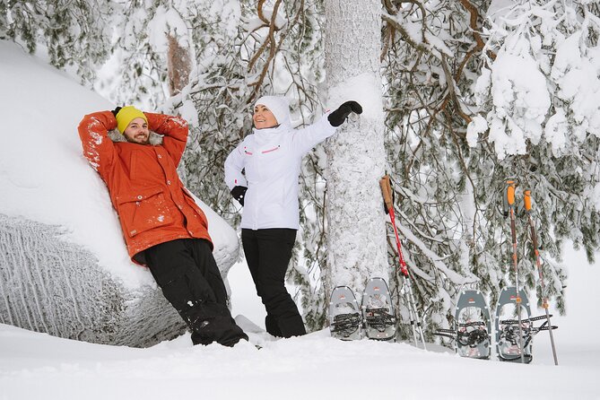 Premium Snowshoeing in Pyhä-Luosto National Park - Who will enjoy this Pyhä winter outing