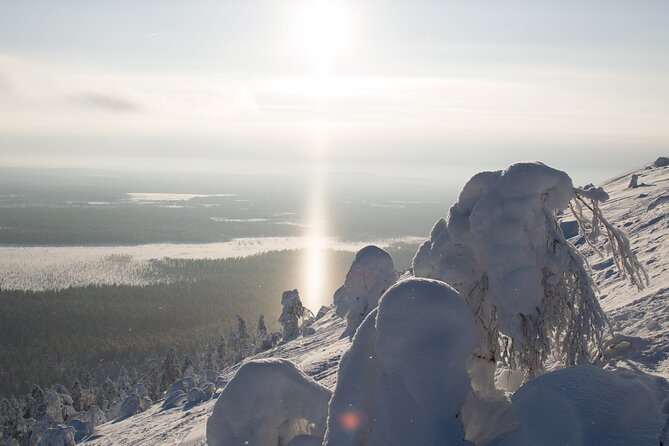 Premium Snowshoeing in Pyhä-Luosto National Park - Booking, cancellations, and practical details