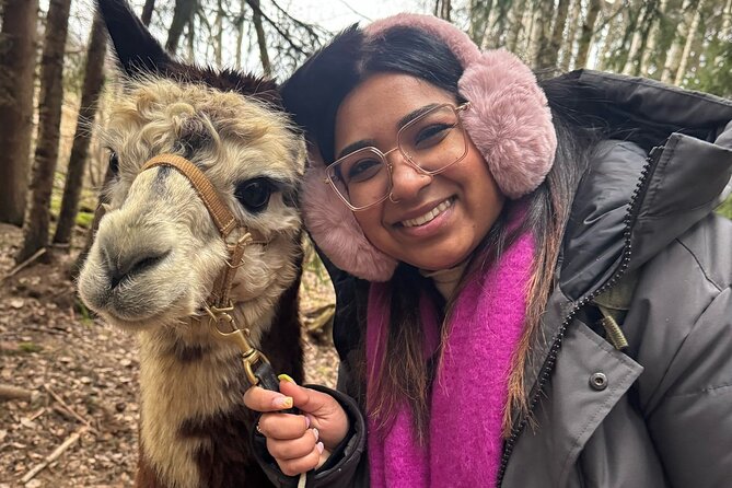 PRIVATE Alpaca Guided Forest Walk + Feeding Helsinki - Who will enjoy it most